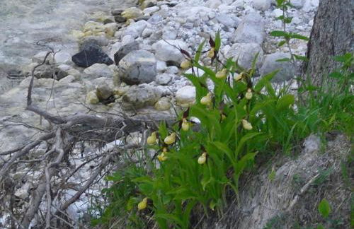 Agriturismo Prati Oitzinger - Foto 5