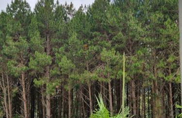 Vista Azul Apart Hotel - Vista Pinheiros - Photo 29