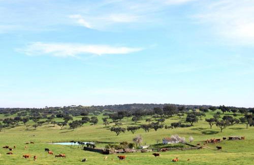 Herdade da Boavista - Foto 60