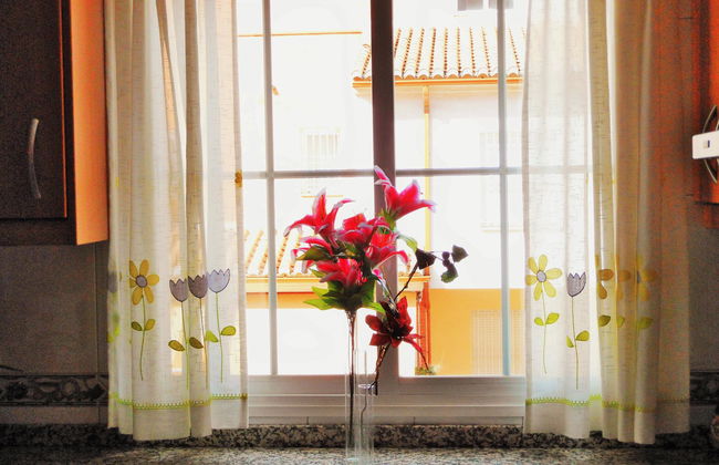 The Martin House - Foto 4