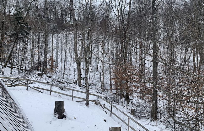 Unforgettable Dreams - Foto 17