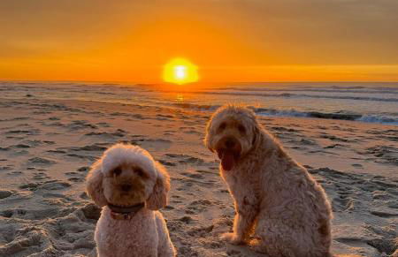 200M - Train Station Barrinha Beach House & Pool - Foto 40
