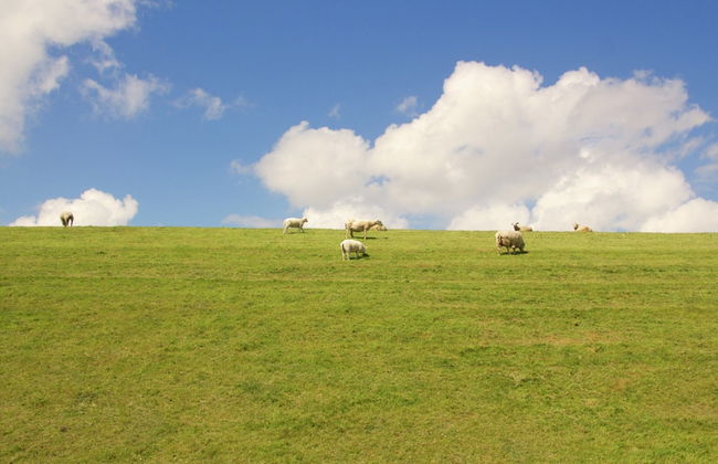 Villa in Friesland Near Wadden Coast - Foto 38
