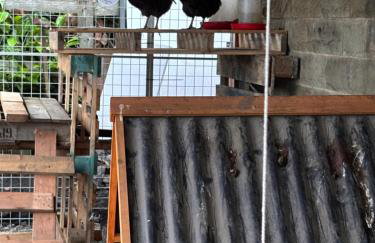 The Stables at Lower Carr Barn - Foto 64