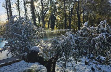 Vila Green Silence - Photo 61