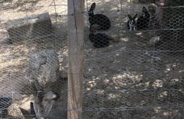 Casas Rurales La Loma Del Carrascal - Foto 42