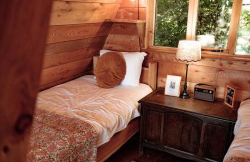 Pattys Barn Holiday Cottages, Cabins and Venue Hire - Foto 9