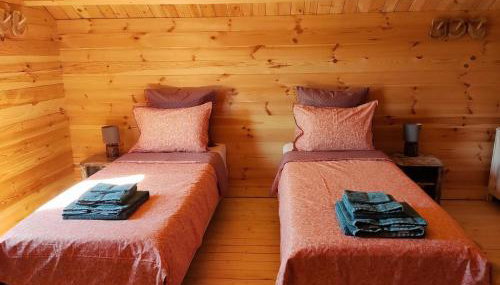 Au chant des oiseaux - rouge gorge - Foto 5