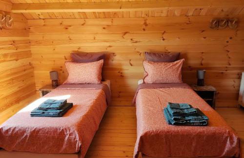 Au chant des oiseaux - rouge gorge - Foto 6