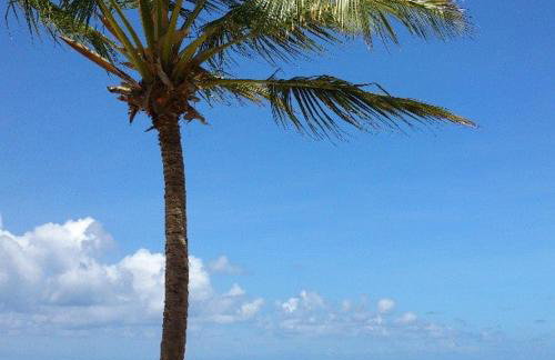 Apartamento - Ed Jatiuca - Foto 5