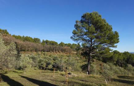 Les jardins de Saint Blaise - Foto 51