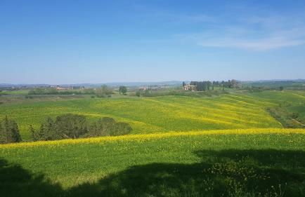 Gli Ulivi di Siena 2 - Foto 1