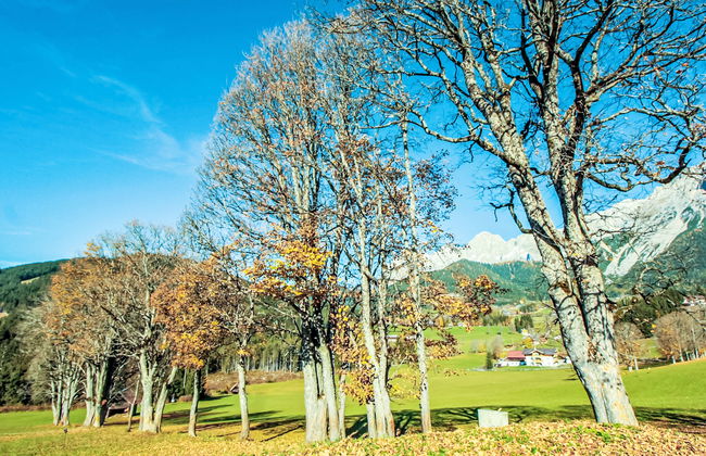 Berghaus Weitblick - Foto 29