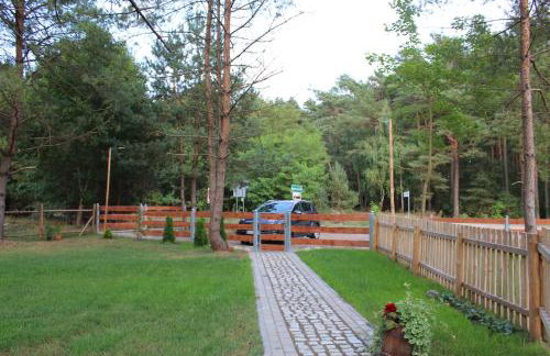 Koci Grzbiet Agroturystyka - Foto 29