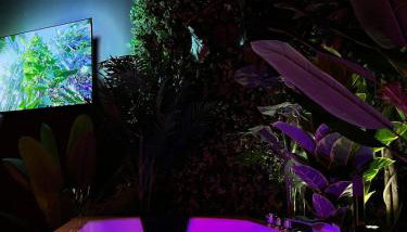 Amazonia Suite - Starry Sky & Spa Bath - Foto 4