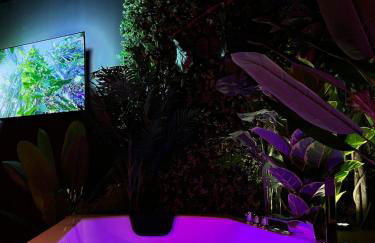 Amazonia Suite - Starry Sky & Spa Bath - Foto 4