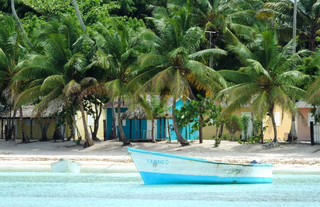 Tour de un día entero por la isla Saona con almuerzo - Foto 1