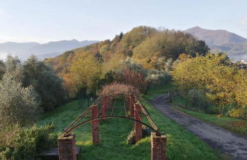 Az. Agr. IL PARADISO di Beatrice Bondielli - Foto 14