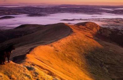 Happy Horse Cottages - Foto 61