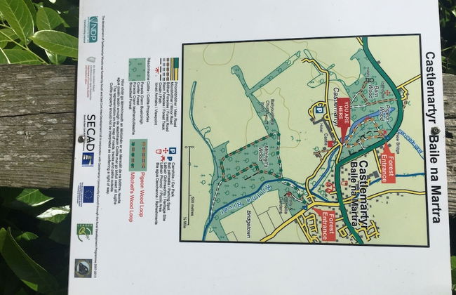 Castlemartyr Mews - Photo 43