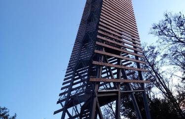 Ferienwohnung Zum Bienenstock - Photo 15