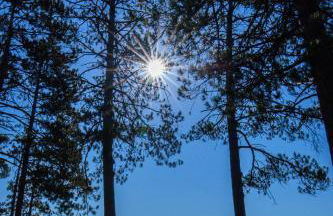 Wild Eagle Lodge, 1 Bedroom Condo - 103 - Photo 22