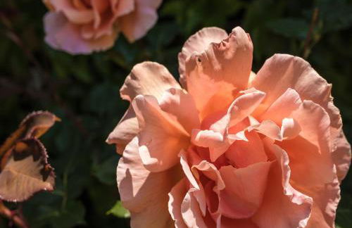 Farmhouse With Private Pool, Large Garden and Playground - Foto 60