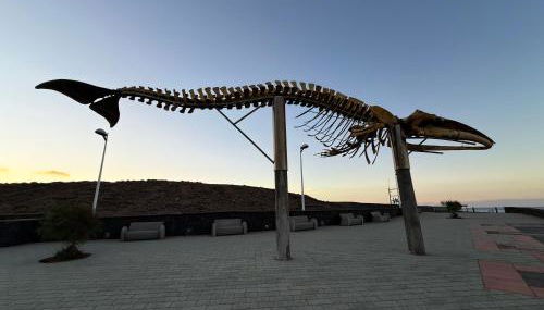 Ático Boreal - Foto 5