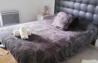 APPARTEMENT T3 EQUIPE IDEAL FAMILLE COMODITES LAC JEUX et TERRAINS A PROXIMITE - Foto 13