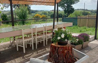 Country House L'Oliveto - Photo 1