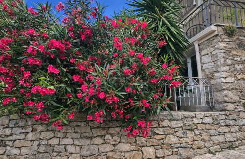 Gîte Le Figuier de Saint Ce Jardinet Terrasse Vue - Foto 20