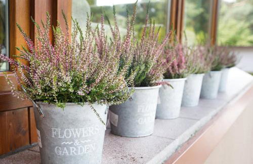 Zacisze Sosnowe - Foto 6