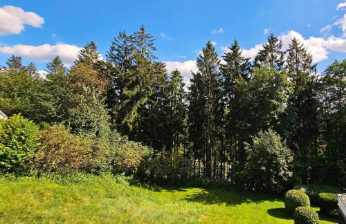 Winterberg Appartement 6 Pers aan Skilift grootste Skigebied nabij Bikepark Unieke locatie met zeer rustige tuin in het bos en het gezellige centrum leuke cafes restaurants en gratis zwembad sauna relax speelruimte parkeerplaats naast Der Brabander - Foto 61