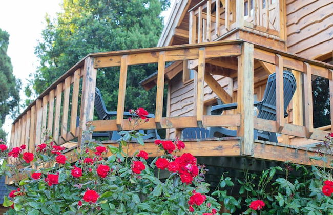 Cocos Cura Casas de Montaña - Photo 67