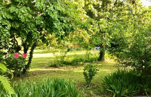 Le gîte de Gascogne - Photo 37