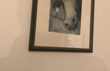 Scorrabrae Orphir Mainland Orkney South Shore Retreat - Photo 31