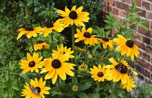 Der historische Silberhof von 1856 - Foto 22