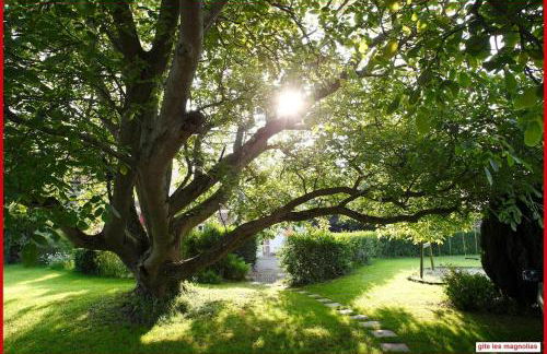 Les Magnolias - Foto 18