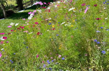 Das Schusterhäusl - Urlaub im oberbayerischen Baudenkmal - Foto 47
