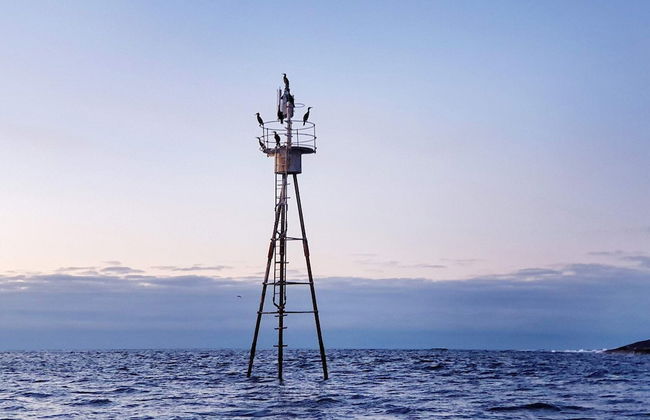 6 Person Holiday Home in Bud - Foto 24