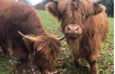 The Farmers den lodge at River Garry Lodges - Foto 34