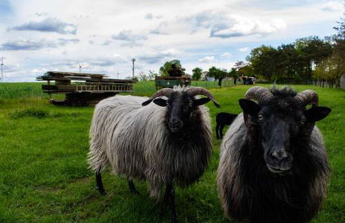Gemütliche Ferienwohnung - Foto 23