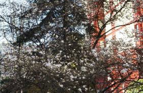 Danae Home - Foto 13