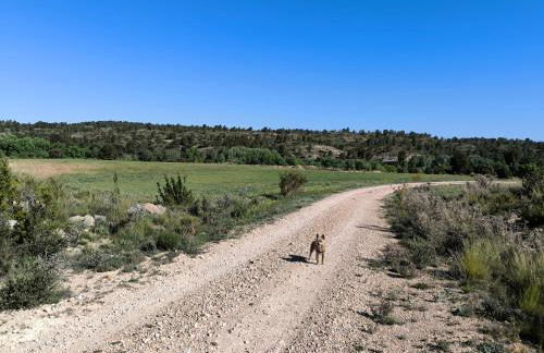 Casas Rurales Huerto Del Abuelito - Foto 41