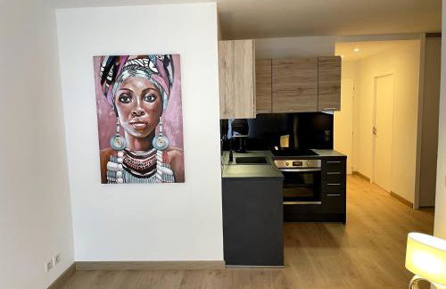 Très bel appartement T2 de standing entièrement meublé à 5 min à pied du centre. - Foto 2