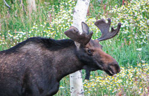 Watch Hill 216 - Foto 9