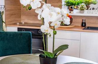 Dom w Karkonoszach - Foto 6