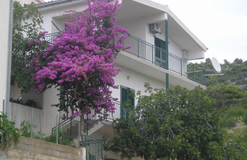 Apartments Neva - Photo 1