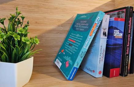 BeMa Apartments Hallstadt - ruhig, zentral, geräumig und in unmittelbarer Nähe zu Bamberg - AS5 Two - Foto 6