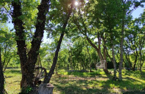 Zen Promona - Foto 6